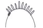 howtoprojectbeadedtiara_small.jpg